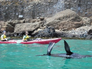 Eden Wildlife Cruises and Sea Kayaking Tours